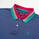 Multicolor Striped Polo with Collar